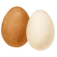 eggs